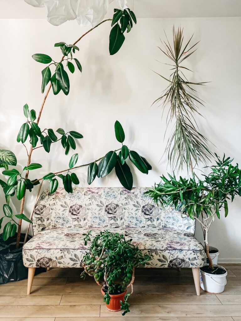 plantas artificiales para interiores